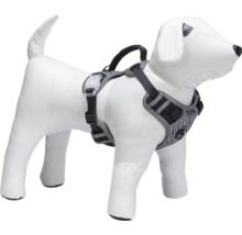 Hundegeschirr an einer Hundepuppe