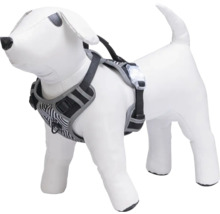 Hundegeschirr mit reflektierenden Streifen und LED-Licht