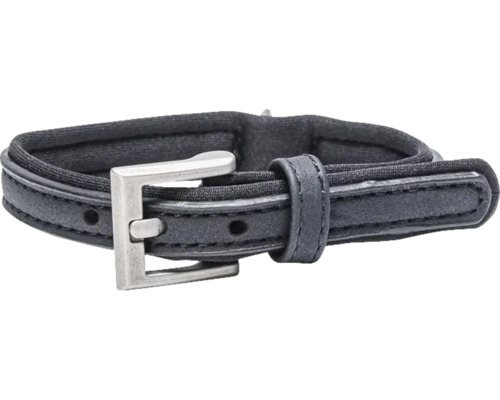 Hundehalsband mit Metallschnalle
