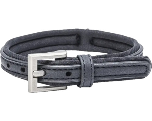 Halsband mit Metallschnalle