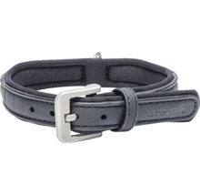 Hundehalsband mit Schnalle