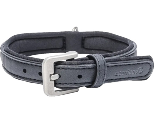 Hundehalsband mit Schnalle