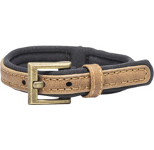 Hundehalsband aus Leder und Textil mit Metallschnalle