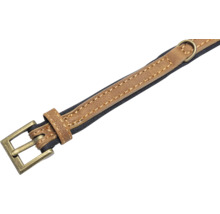 Hundehalsband aus Leder mit Metallschnalle