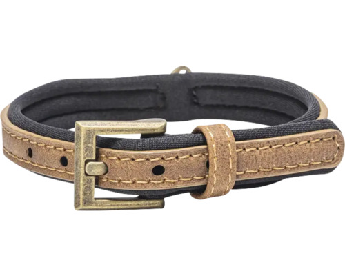 Halsband beeztees Balacron Hundehalsband AX braun 24 - 30 cm x 1 cm Kunstleder Hundehalsband aus Leder mit Schnalle