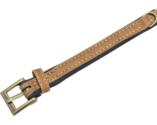 Hundehalsband aus Leder mit Metallschnalle