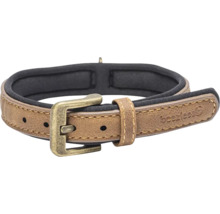 Hundehalsband mit Schnalle