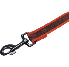 Hundeleine mit Karabinerhaken