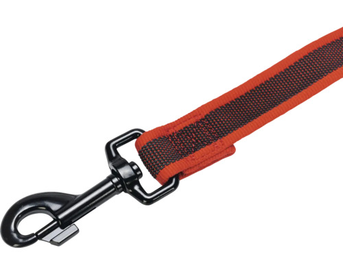 Hundeleine mit Karabinerhaken