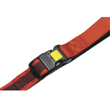 Hundehalsband mit Verschluss