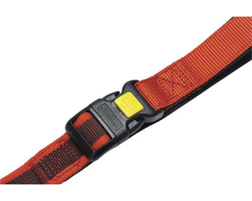 Hundehalsband mit Verschluss