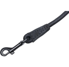 Hundeleine mit Karabinerhaken