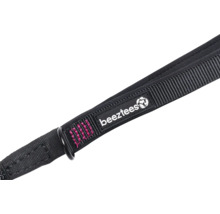 Beetztess Logo auf einer schwarzen Hundeleine