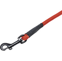 Rote Hundeleine mit Karabinerhaken