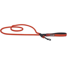 Orangefarbene Hundeleine mit Karabinerhaken und Beetztees Logo