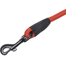 Hundeleine mit Karabinerhaken