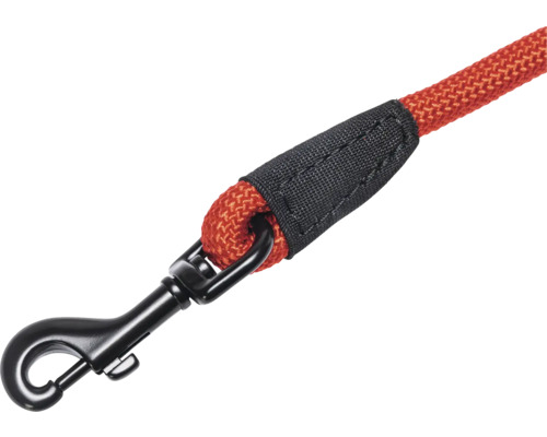 Hundeleine mit Karabinerhaken