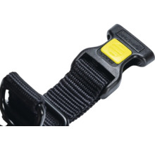 Detailaufnahme eines Hundehalsbandes mit Verschluss