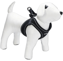 Hundegeschirr am Hundemodell