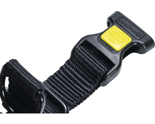 Hundehalsband Detailansicht mit Verschluss und Gurtband