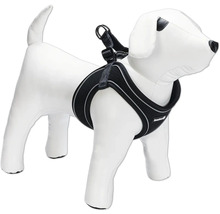 Hundegeschirr am Hundemodell