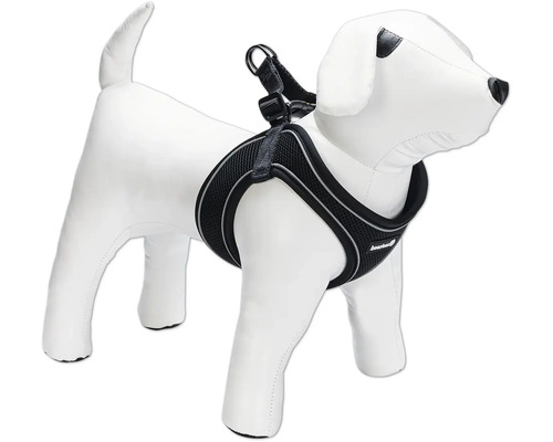 Hundegeschirr am Hundemodell