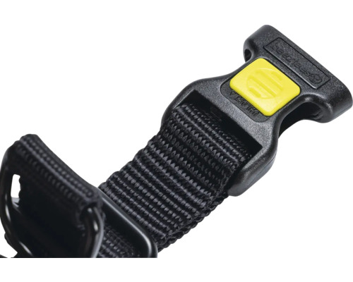 Detailansicht eines Hundehalsbandes mit Verschluss