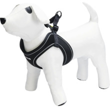 Schwarzes Hundegeschirr an einer Schaufensterpuppe in Hundeform