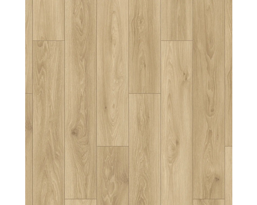 Laminat Masterfloor Aqualine Ambra Landhausdiele 1288 x 195 x 8 mm Verlegung von hellem Laminatboden mit Holzoptik