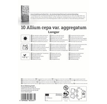 Verpackung von 10 Allium cepa var. aggregatum Longor Zwiebeln mit Informationen zu Standort, Anpflanzung und Eigenschaften