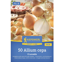Kiepenkerl Profi-Line Allium cepa Crusado Zwiebelset, 50 Stück