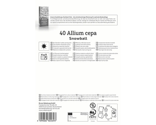Informationen zu Allium cepa Snowball, einschließlich Standortanforderungen und Pflanzhinweisen