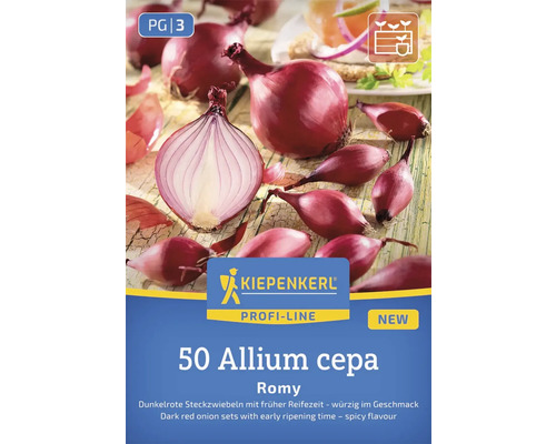 50 rote Zwiebeln der Sorte Allium cepa Romy