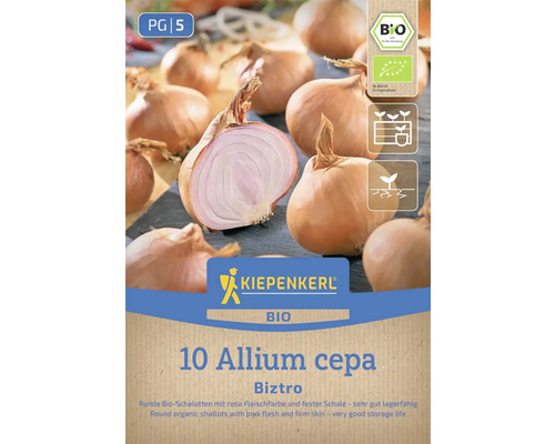 Kiepenkerl Logo Bio 10 Allium cepa Biztro Schalottenpackung