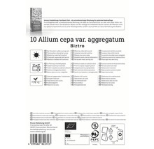 Verpackung für 10 Allium cepa var. aggregatum Biztro Blumenzwiebeln, mit Informationen zu Standort, Pflanzung und Eigenschaften