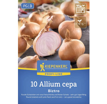 Schalotten-Setzlinge der Sorte Biztro, 10 Stück, Allium cepa, Kiepenkerl Logo