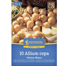 Zwiebelstecklinge 'Yellow Moon' der Marke Kiepenkerl, 10 Stück, Allium cepa