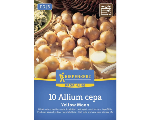 Zwiebelstecklinge 'Yellow Moon' der Marke Kiepenkerl, 10 Stück, Allium cepa