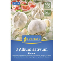 Kiepenkerl Pflanzknoblauch Allium sativum Packung