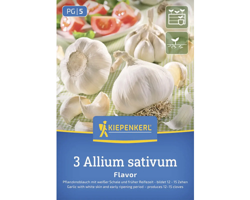 Kiepenkerl Pflanzknoblauch Allium sativum Packung