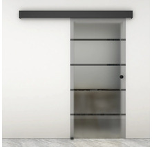 Schiebetür aus Glas mit horizontalen Streifen und Beschlägen