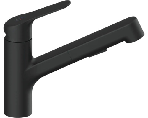 Schwarze Küchenarmatur mit Ausziehbrause