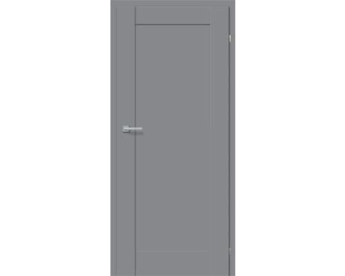 Graue Innentür mit Türgriff