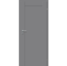 Graue Innentür mit Drückergarnitur und Schloss