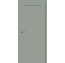 Graue Innentür mit Türgriff