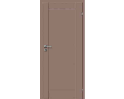 Braune Innentür mit silberner Türklinke