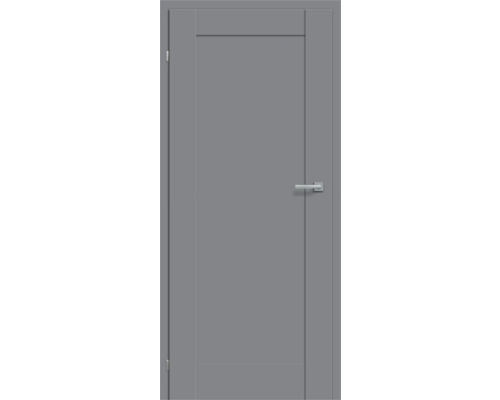 Graue Innentür mit Drückergarnitur