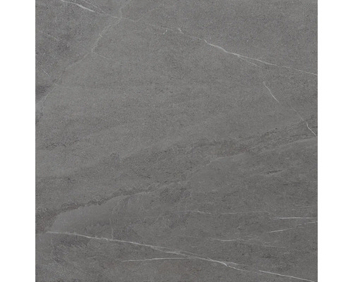 Graue Fliese mit Marmoroptik.