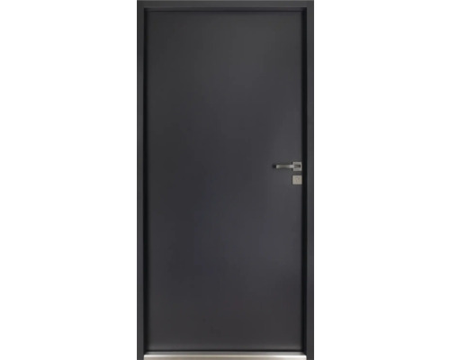 Schlichte Innentür mit Türgriff