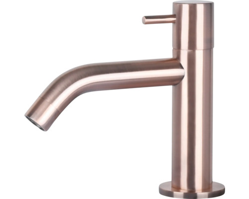 Einzelner Wasserhahn für das Waschbecken